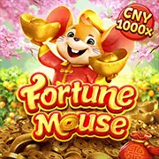 Hình ảnh một trận đá gà được tổ chức chuyên nghiệp, không bạo lực