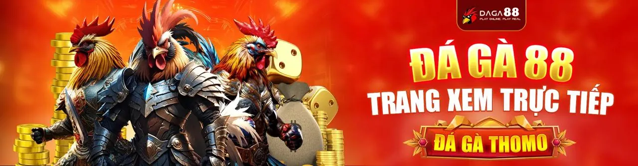 Diễn biến một trận đá gà tiêu chuẩn tại 88go5